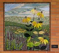 Matthaei Botanical Gardens 2010 0157